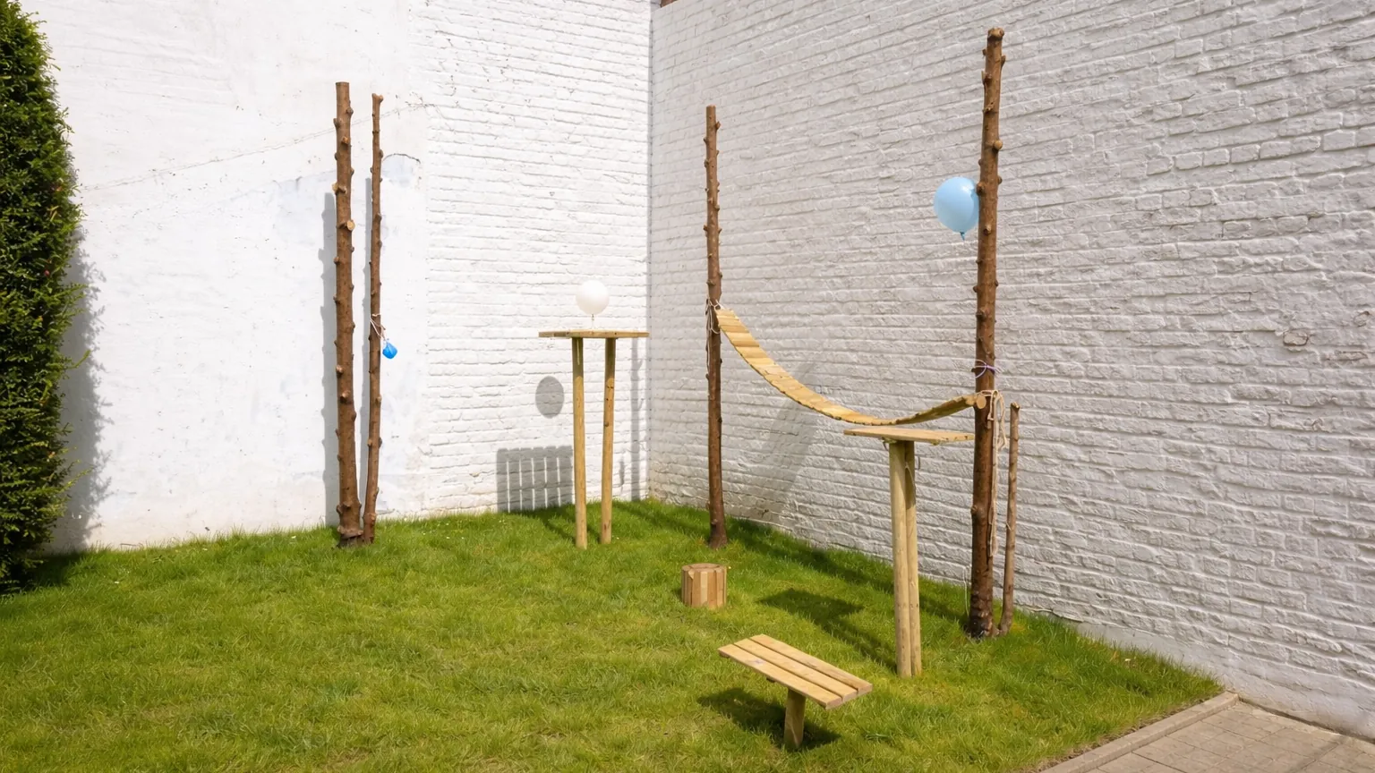 The garden
