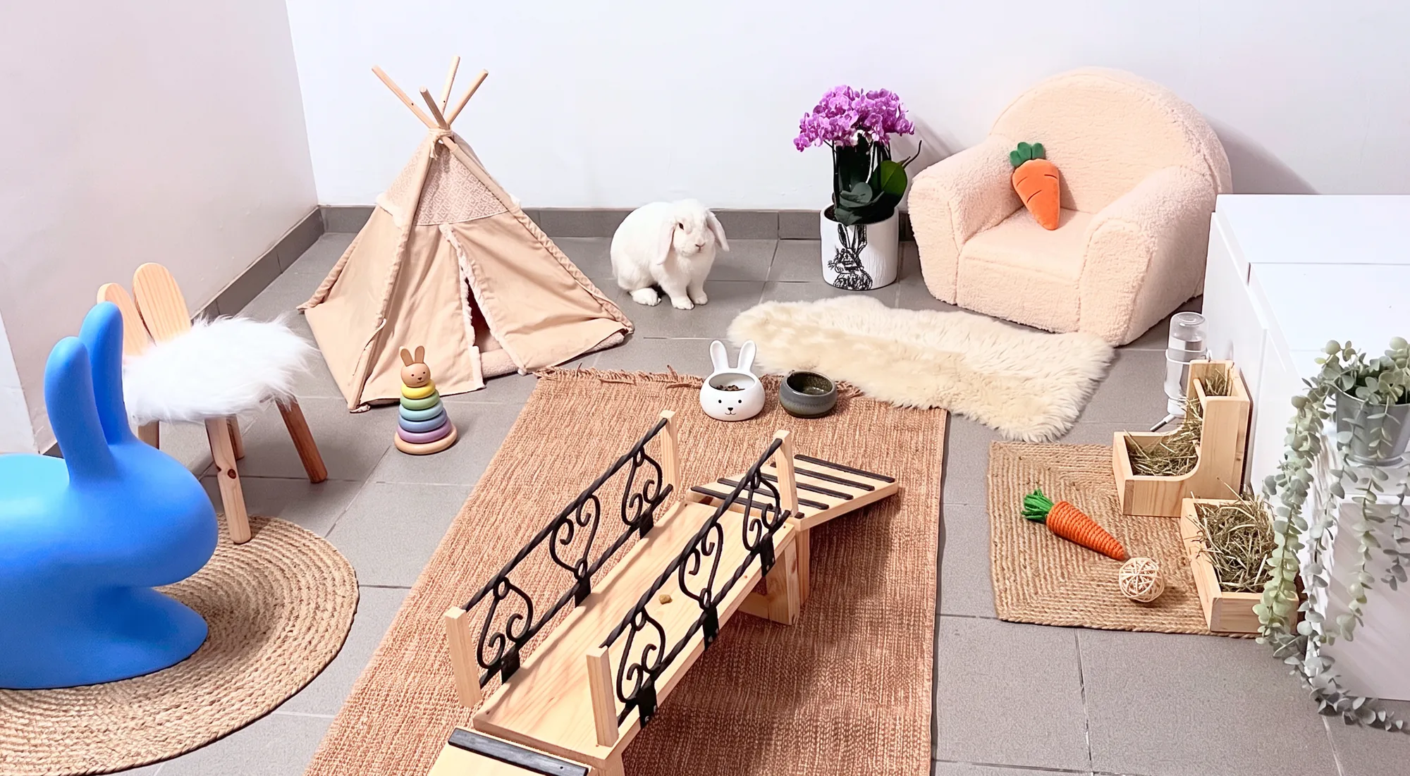 The rabbits’ corner